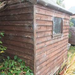 timber Shed