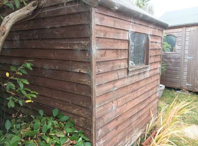timber Shed
