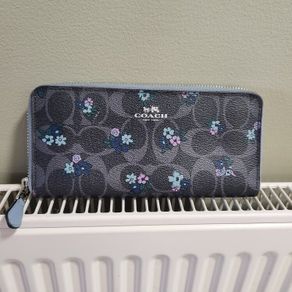 Coach purse (authentic)