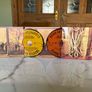Bruce Springsteen/ we shall overcome / The Seeger Sessions cd and dvd Image 4