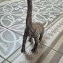 Brachiosaurus Image 6