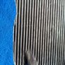 Pair of antique ribbed butter pats Image 5