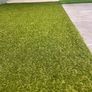 20mm New Artificial Grass - 7.99 per sqm Image 3