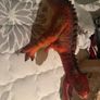 kids toy dinosaurs like new Image 4