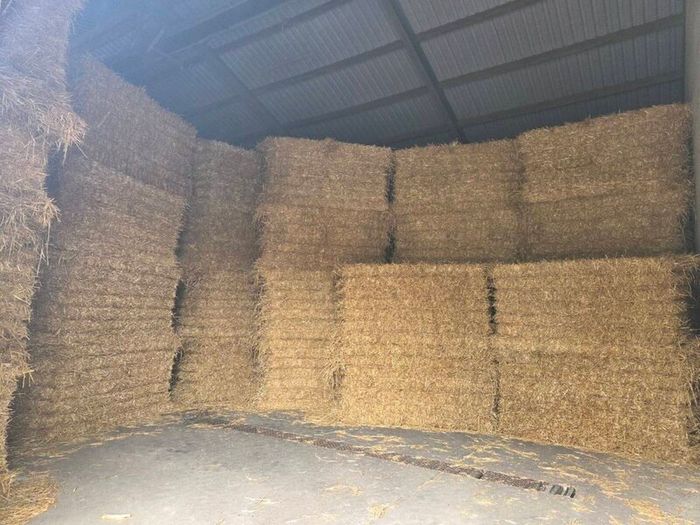 Straw