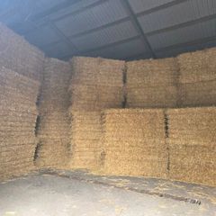 Straw