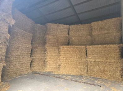 Straw