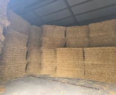 Straw