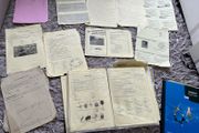 LC Biology HL Notes