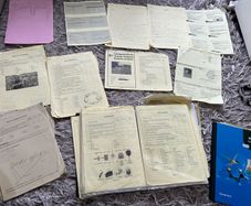 LC Biology HL Notes