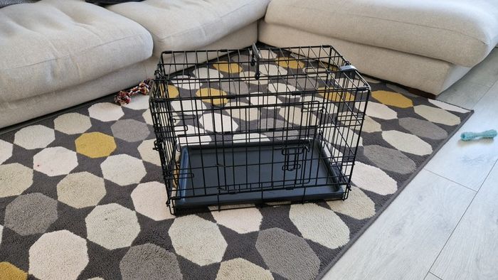 Dog crate, double door, 22 inch