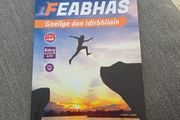 Feabhas Transition year irish bn