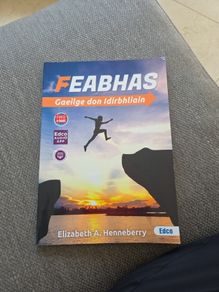 Feabhas Transition year irish bn