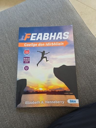 Feabhas Transition year irish bn