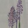 Framed Floral Watercolour Image 2