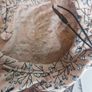 Name It Baby girl dress Image 3