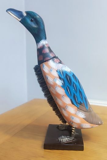 Wooden Hand Carved Hand Painted Duck Clothes Brush