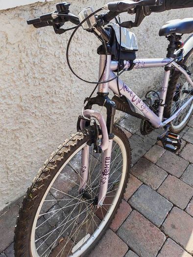 17" Mountain Bike