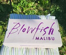 Blowfish Malibu black sandals