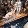 Vintage Anatomical Female Mannequin Image 2