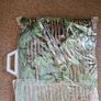Ivy Leaf Trellis 180cm X 30cm Image 2