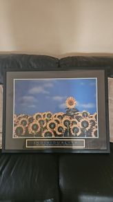 picture frame