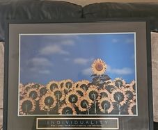 picture frame