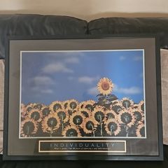 picture frame