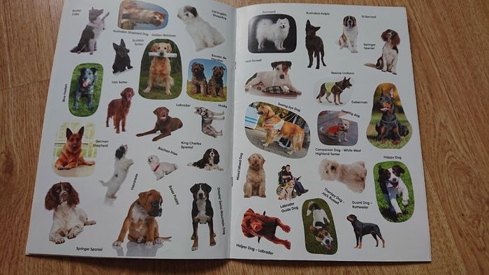 Dogs Sticker Book