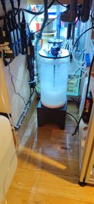 External Reactor/Skimmer Stand