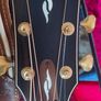 taylor 814 ce builders addition Image 3