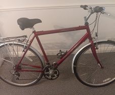 Raleigh pioneer mens bike