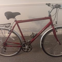 Raleigh pioneer mens bike