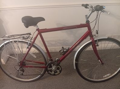 Raleigh pioneer mens bike
