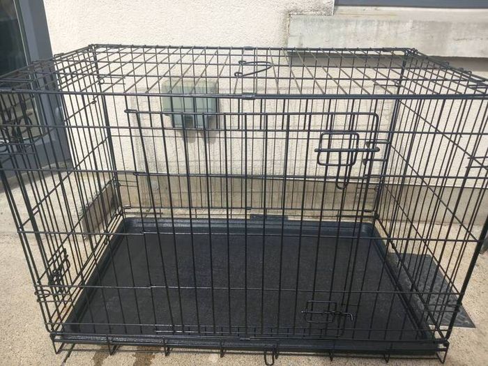 large dog travel crate