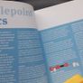 BOOK - Kath Kidston - Needlepoint - Stitch Image 3