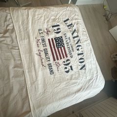 Lexington Beach Towel