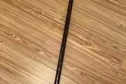 walking stick