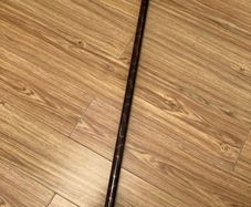 walking stick