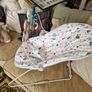 Fisher Price Bouncer Image 2
