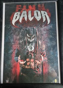 WWE/TNA Signed posters