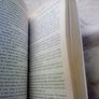 Buccaneer - a novel by Tim Severin (postage included) Image 4