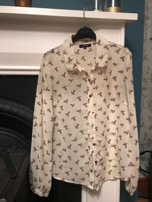 Chiffon Shirt