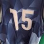 Dublin Wolves Tag Rugby Union Jersey Vest (Adult Small) FREE POST Image 3