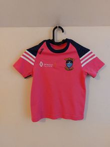 westmeath gaa jersey