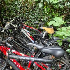 mountain bikes