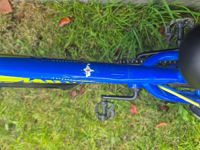 Child 20 Inch Bike