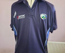 Laois GAA Polo Shirt - Medium size