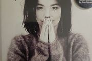 Bjork - Debut.