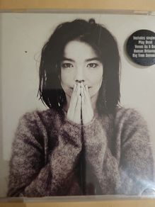 Bjork - Debut.